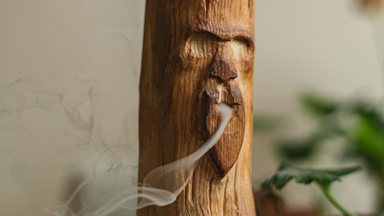 Oud: the note behind the house